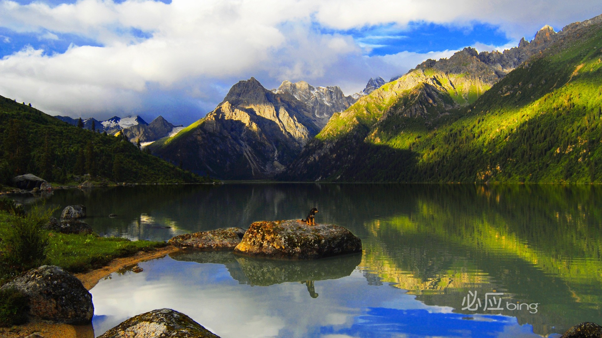 Hãy tải miễn phí chủ đề Microsoft Bing Landscape Theme Desktop Wallpaper 17 để cảm nhận vẻ đẹp hoang sơ nhưng tuyệt đẹp của thiên nhiên. Trải nghiệm sự kết hợp đầy tinh tế giữa màu sắc và ánh sáng để tạo nên những hình ảnh động đẹp mắt trên màn hình máy tính của bạn. Hãy thả mình vào không gian thăng hoa của chủ đề này.