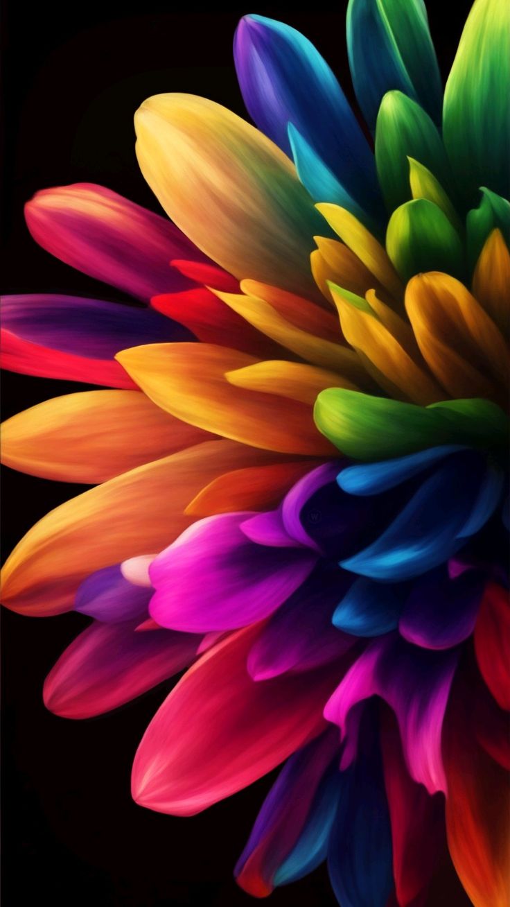 Db8379617ec3b3d5b9eeb3c6acdde076 Wallpaper