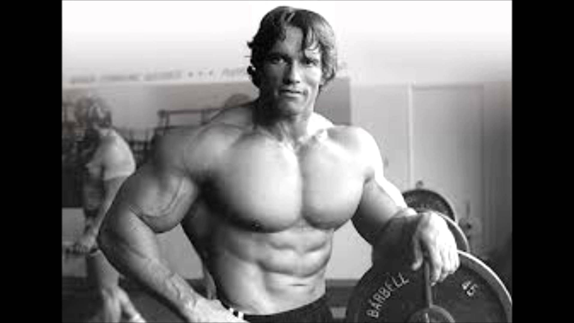 Bodybuilding Celebrities Image Arnold Schwarzenegger HD Wallpaper