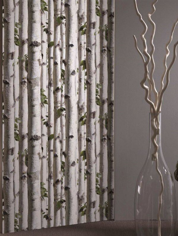 White Birch Tree Wallpaper And I Thought It Was Curtains More