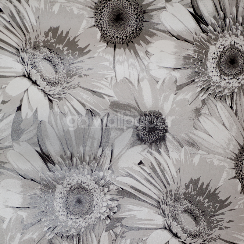 Debona Gerbera Daisy Flower Silver Wallpaper
