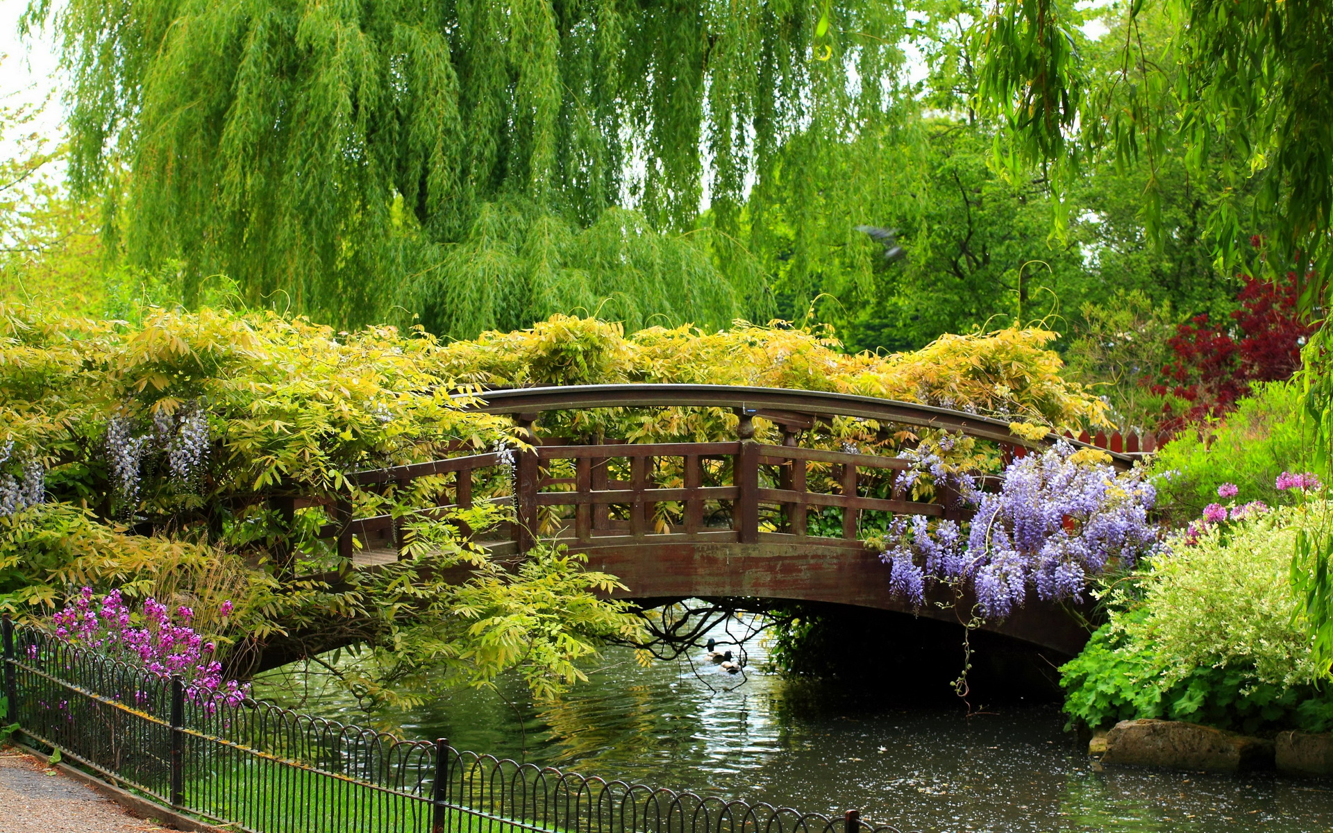 Garden Wallpaper