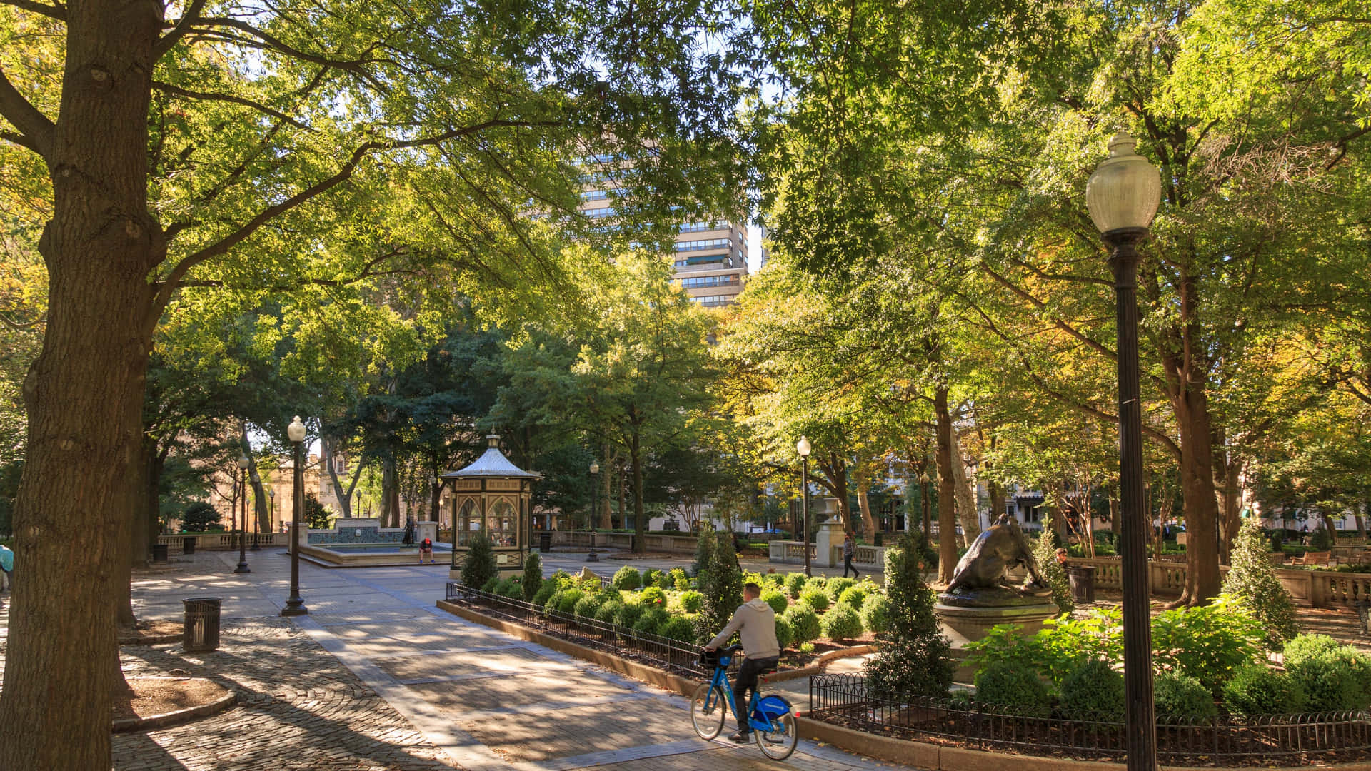 Sunny Dayat Independence Park Wallpaper