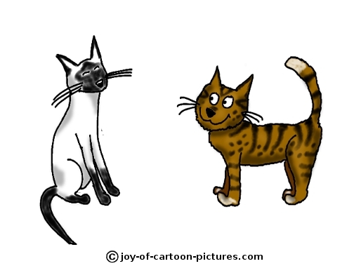 Wallpaper Pictures Image And Photos Cartoon Cat