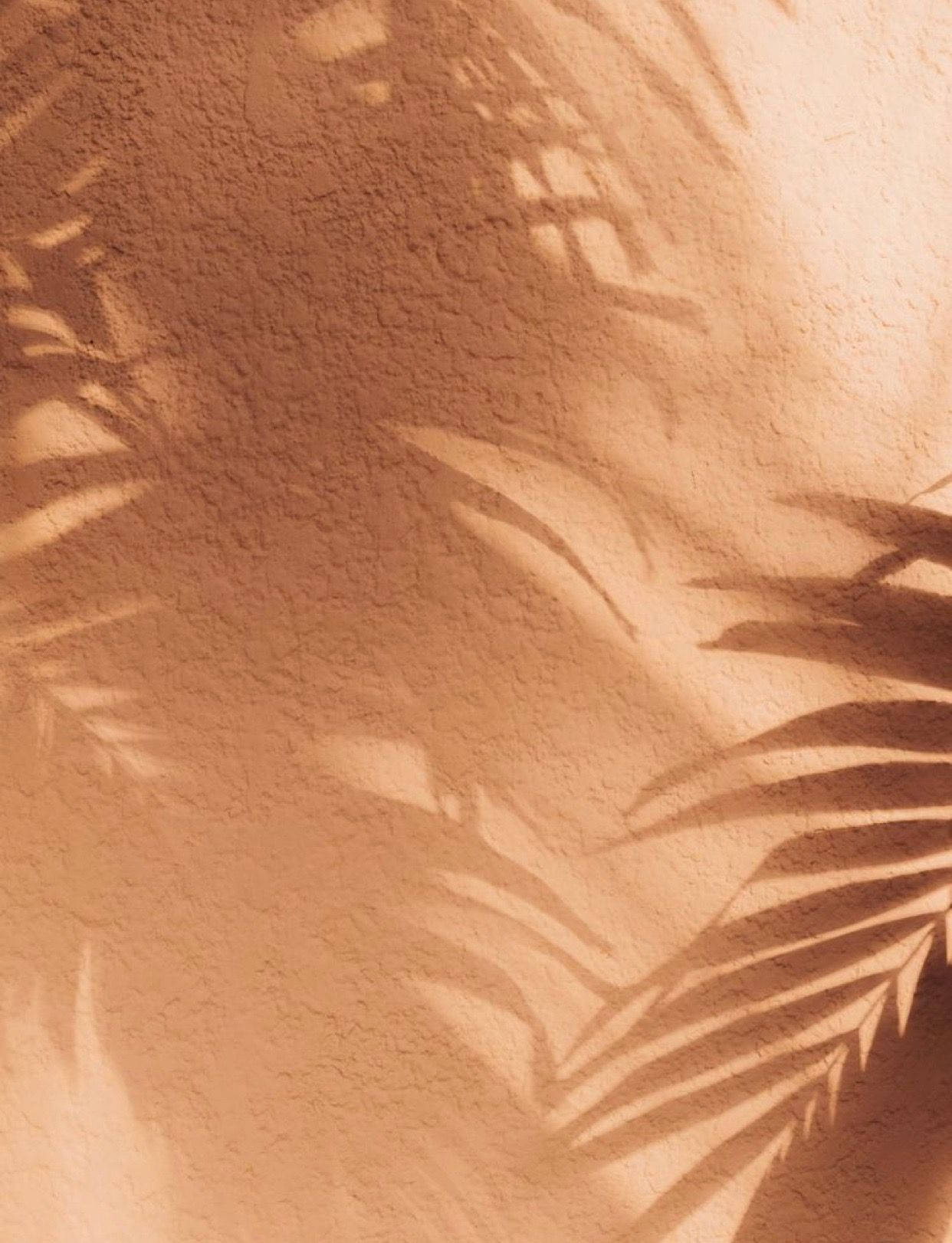 Tan Aesthetic Wallpaper