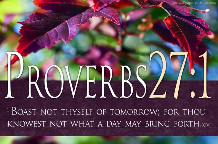Proverbs HD Wallpaper Bible Verses