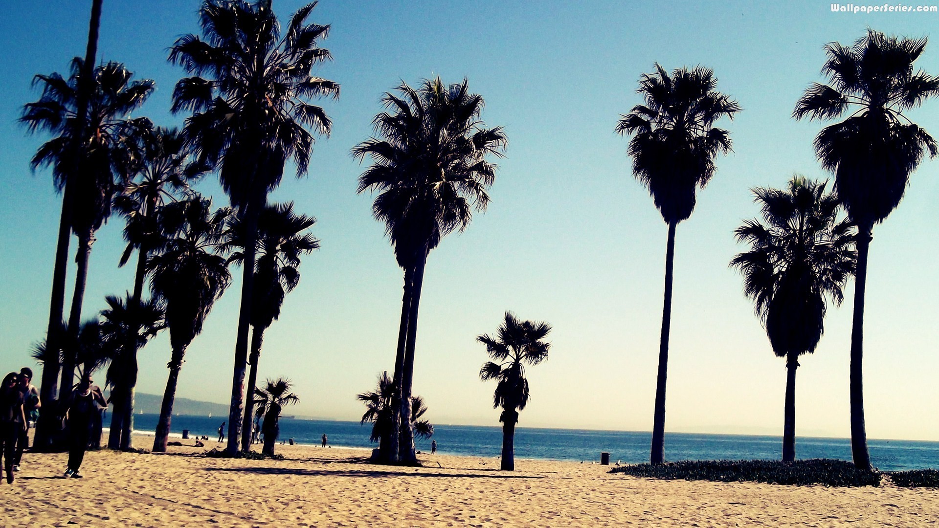 Venice Beach California Wallpaper Image