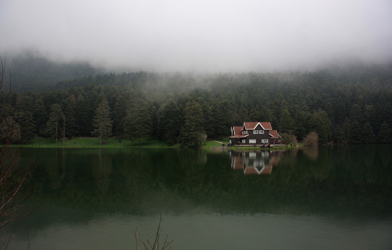 Wallpaper Forest Fog Lake Turkey Bolu Galgut Image For