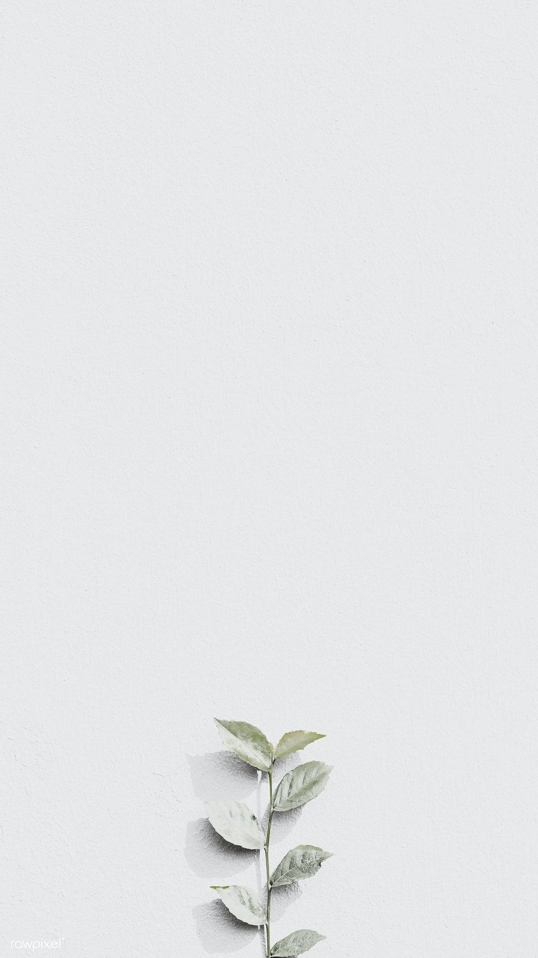 Blank White Wall With Painted Plant Wallpaper