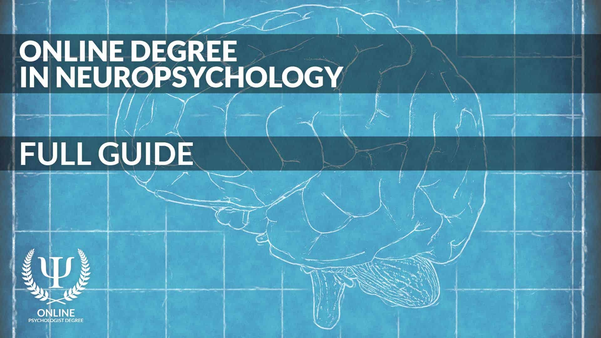 Online Neuropsychology Degree Full Guide Opd