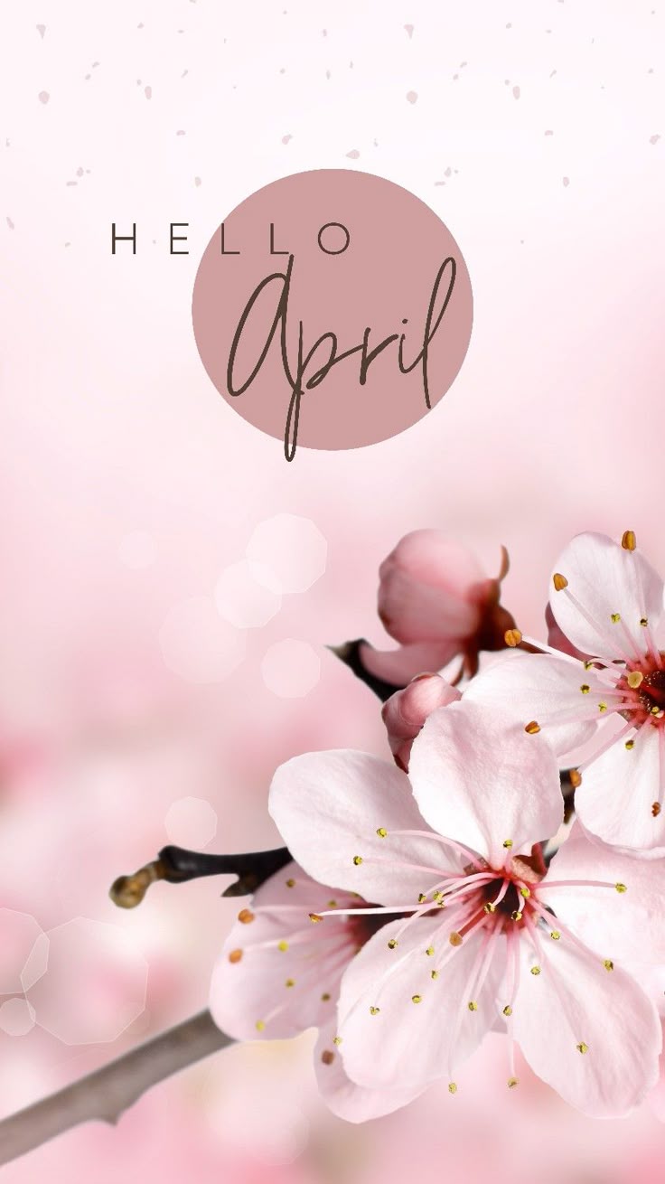 285501e81bf8568fb4fbfd3da4d7ff6d Wallpaper