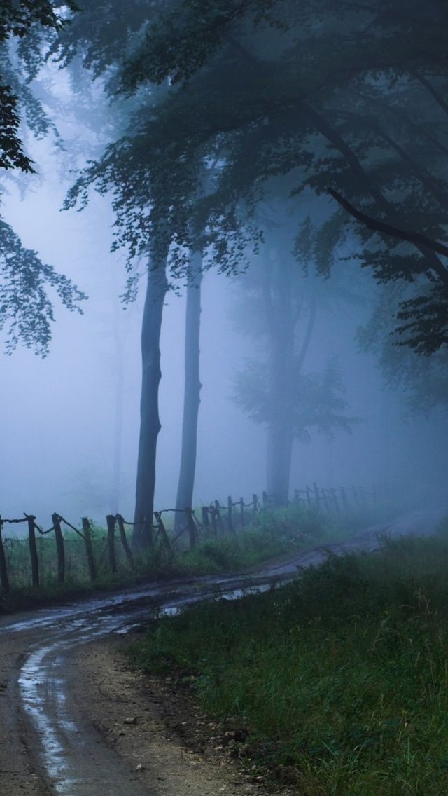 Misty Road Beautiful Image Nature Wallpaper Weather