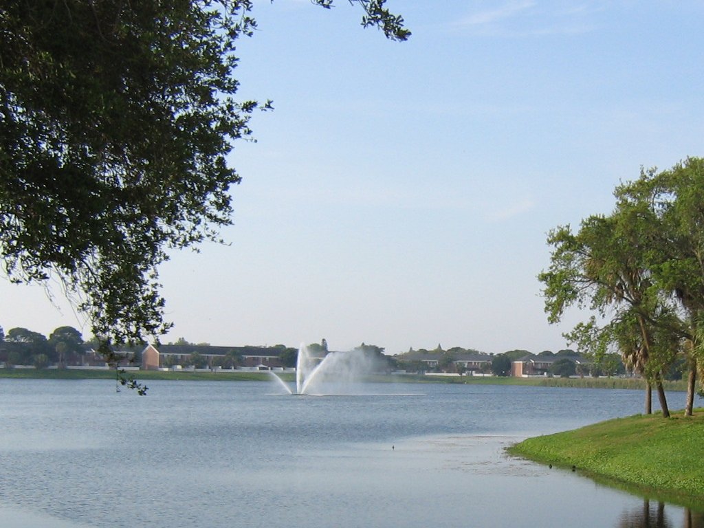 Lake Wallpaper
