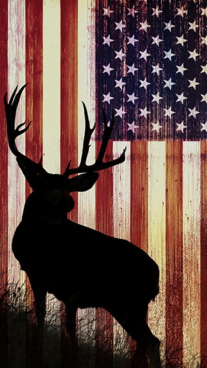 Patriotic Deer Wallpaper American Flag