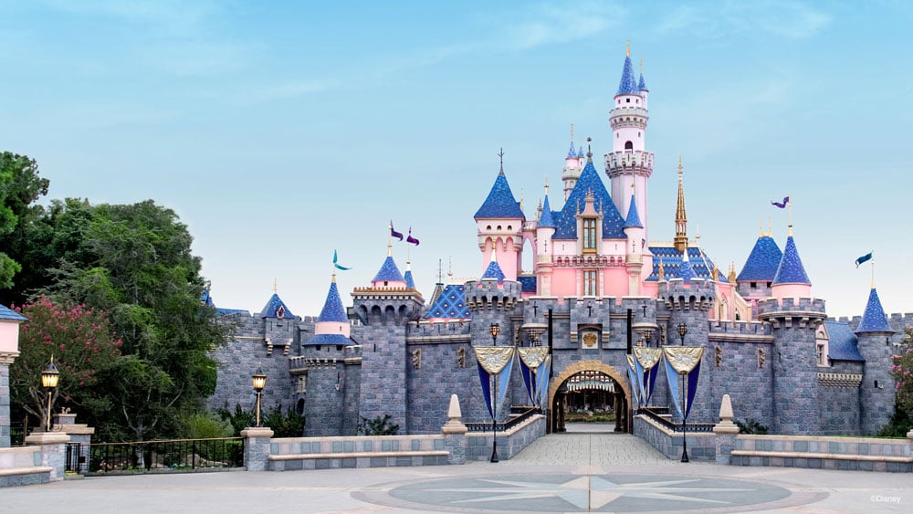 Disneyland Zoom Background Transport Yourself To Hogwarts