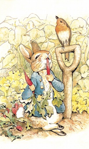 Download Peter Rabbit Live Wallpaper for Android   Appszoom