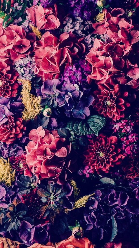 Floral Wallpaper Plus iPhone