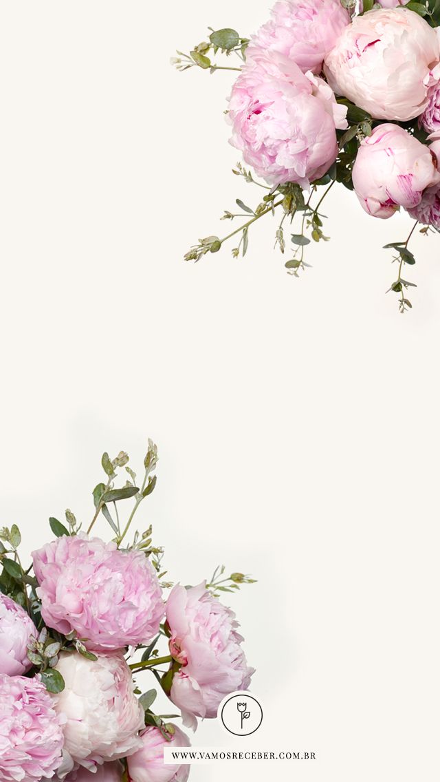 Blush Pink Floral Peonies Flowers iPhone Phone Background