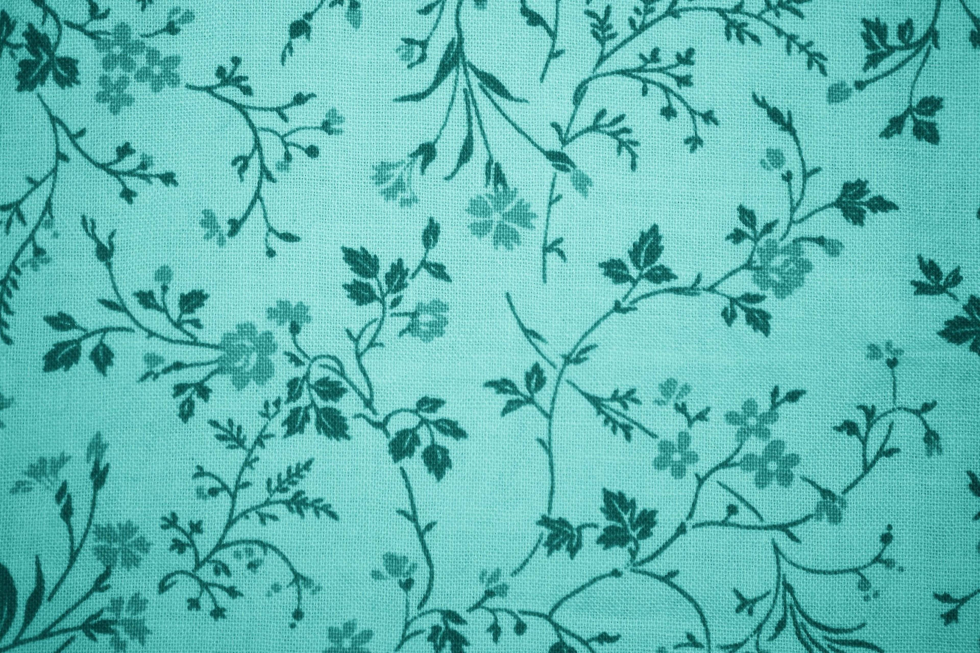 Turquoise Wallpaper