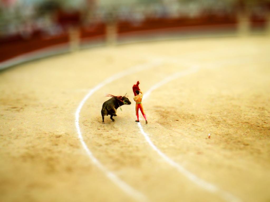 Bull Fighting Miniature Effect Wallpaper