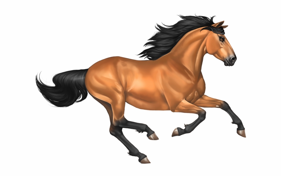 Download Horse Png Transparent Images Transparent Backgrounds