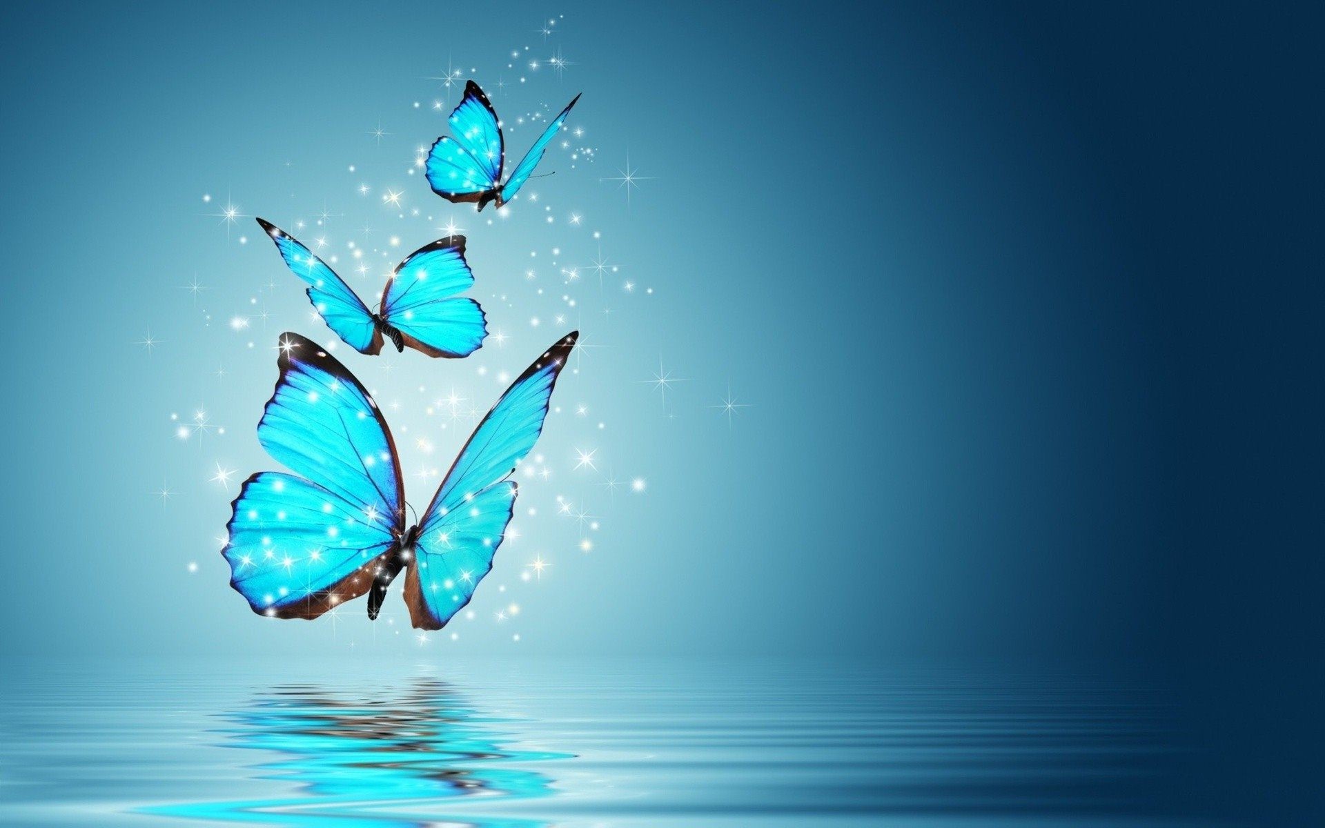 Blue Butterfly Wallpaper