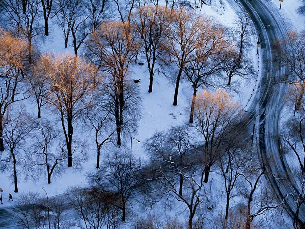 Photo Aerial Of A Snowy Park