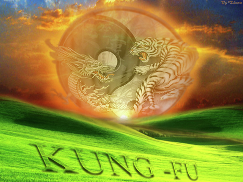 Wushu Wallpaper Submited Image