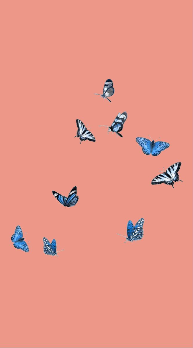 Wallpaper In Butterfly iPhone Cute Panda