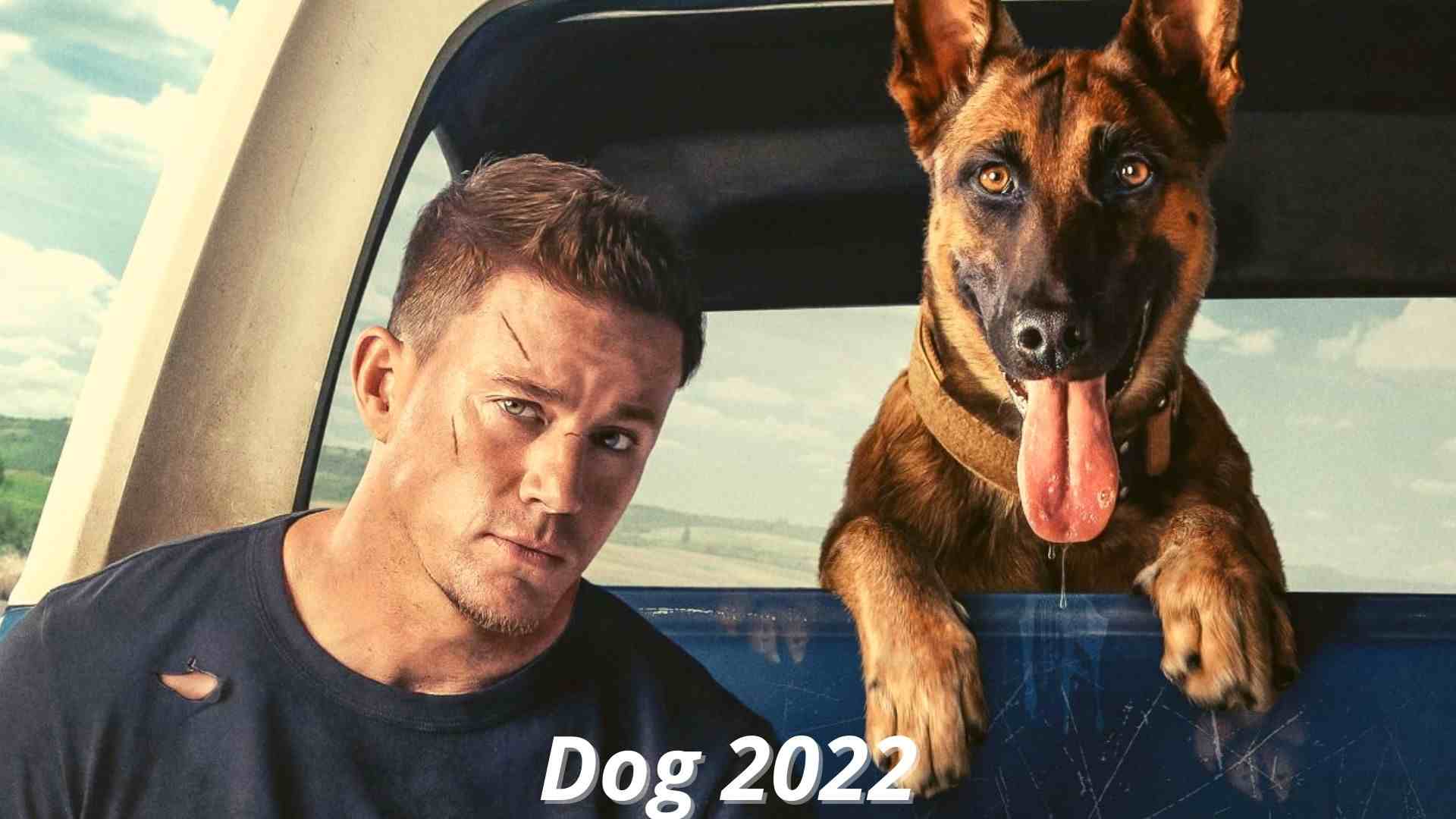 Dog Release Date Star Cast And Plot