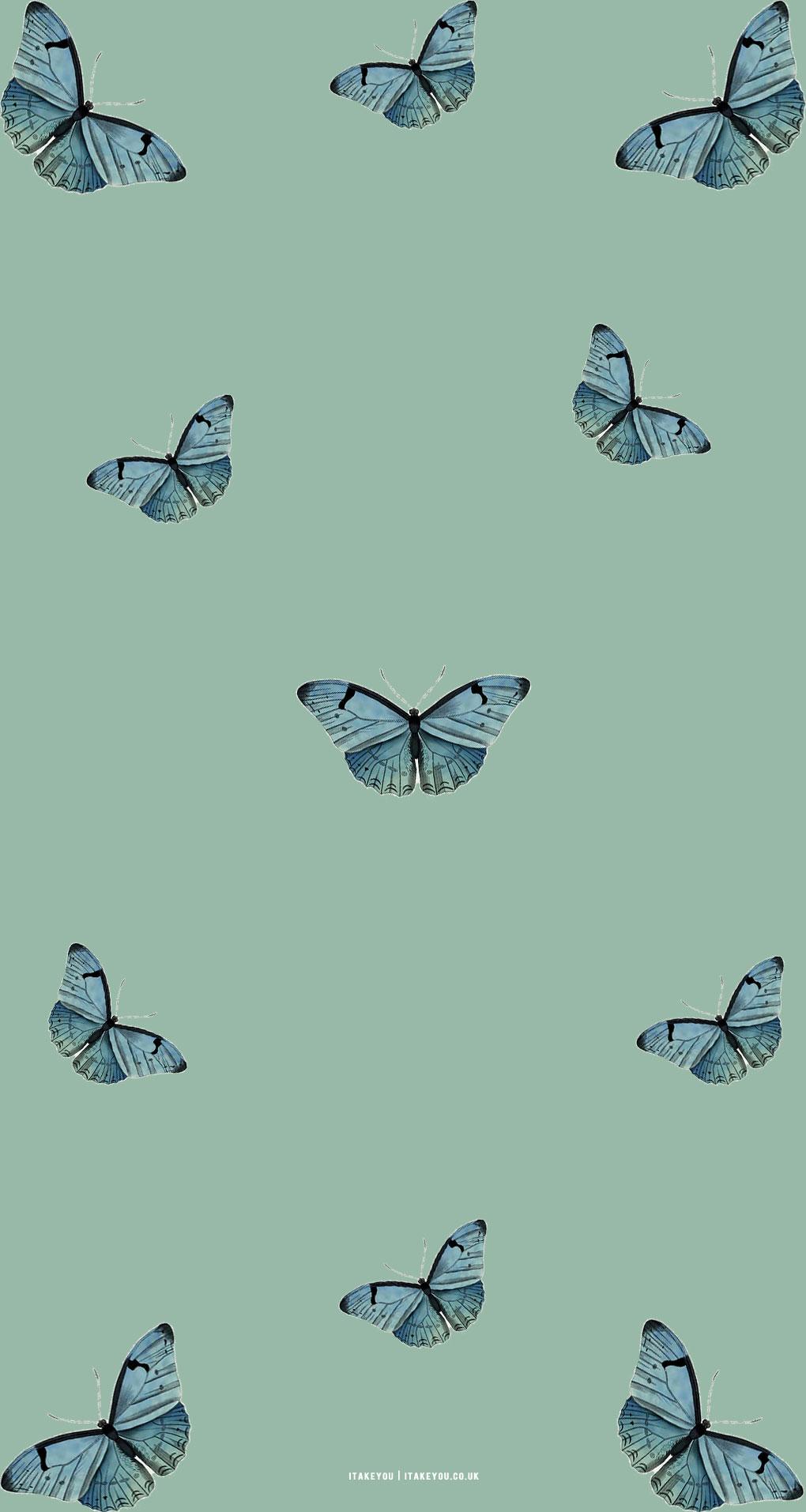 Sage Green Minimalist Wallpaper For Phone Butterfly
