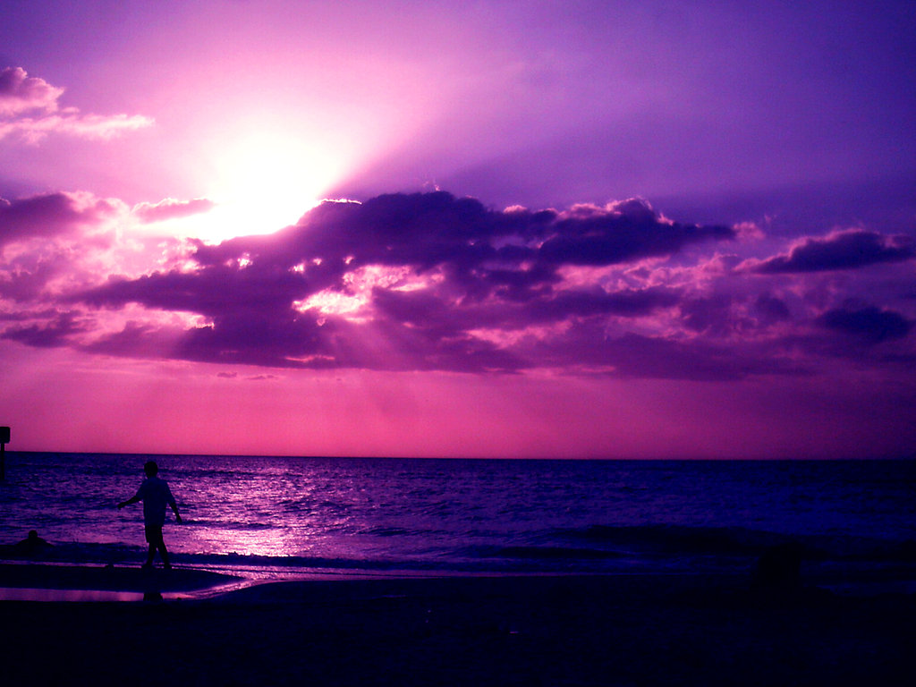 Purple images Purple Sunsets HD wallpaper and background photos