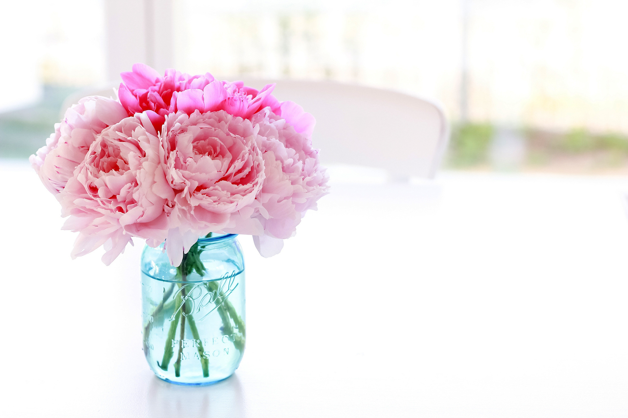 Jar Pink Color Flowers Bouquet Bokeh Wallpaper Peonies
