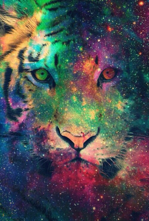 Tiger Galaxy Wallpaper