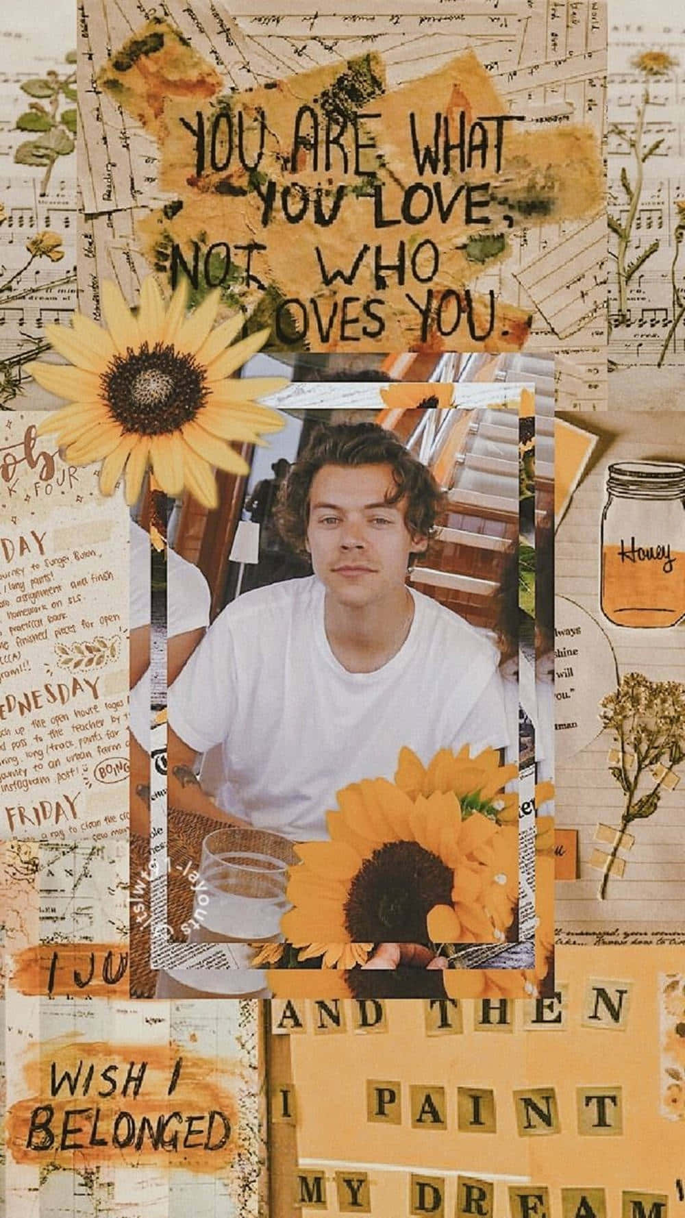 Harry Styles Collage Wallpaper