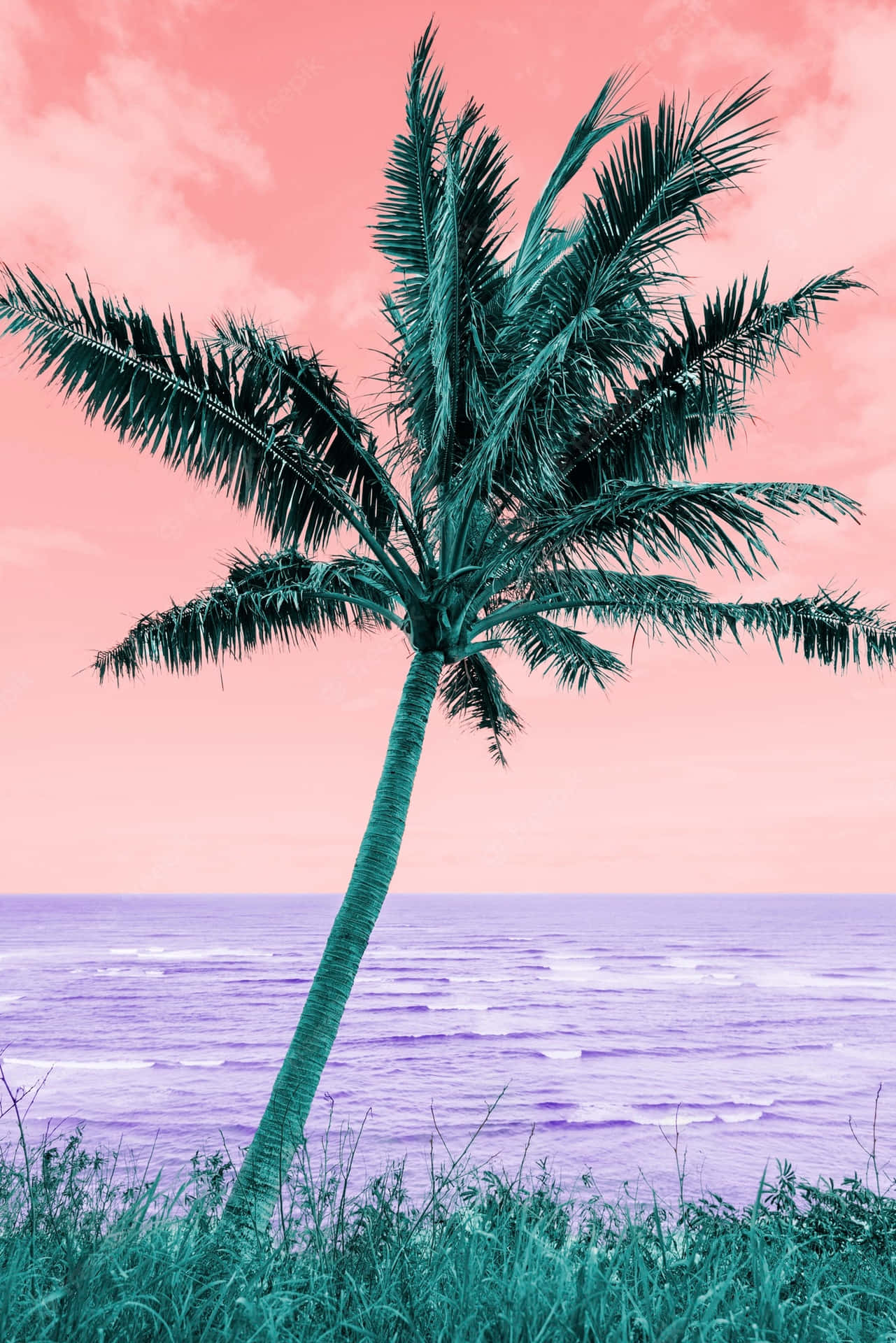 Palm Tree Beach Wallpaper