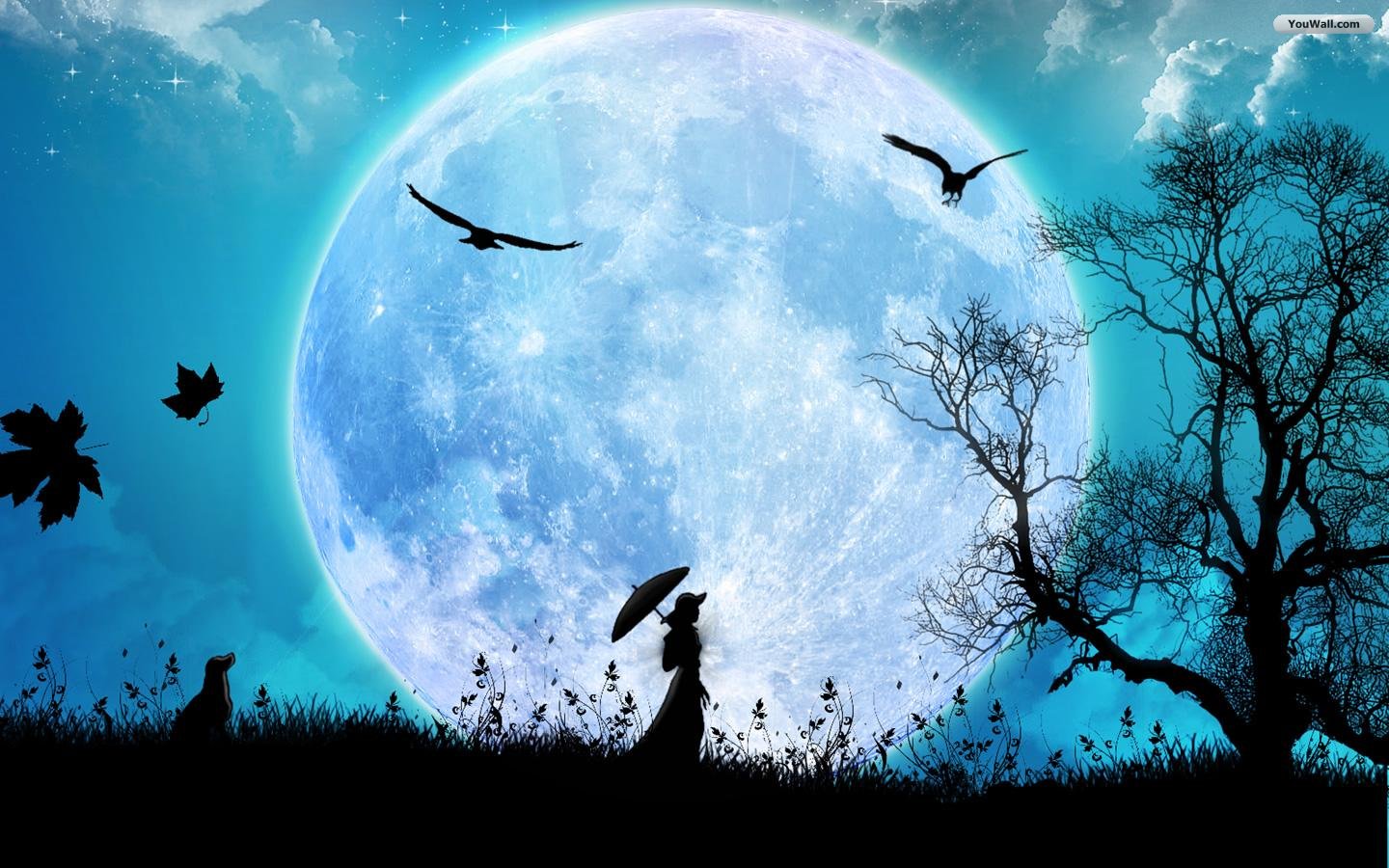 cool wallpapers Full moon Wallpapers