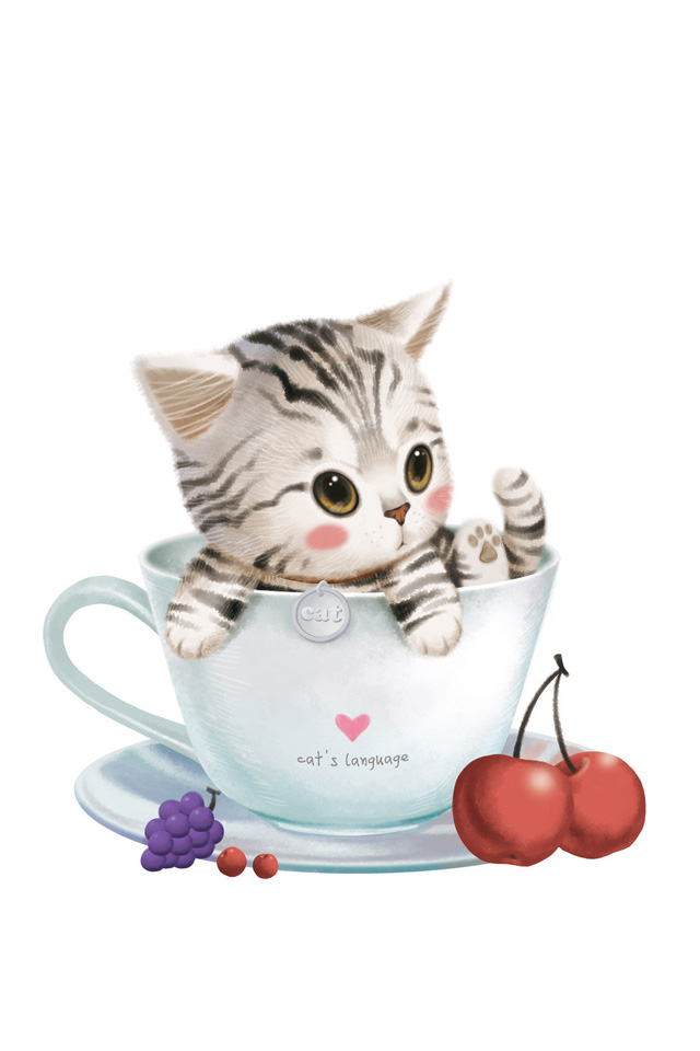 Cup cute kitten iPhone wallpaper iPhone 4 wallpaper iPod Touch 640x960