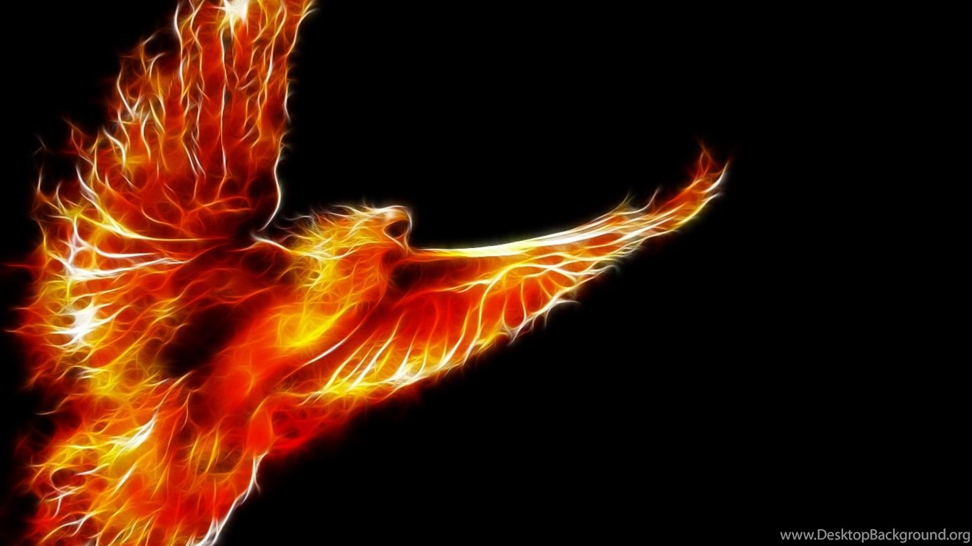 Wallpaper Powerful Phoenix In Fire