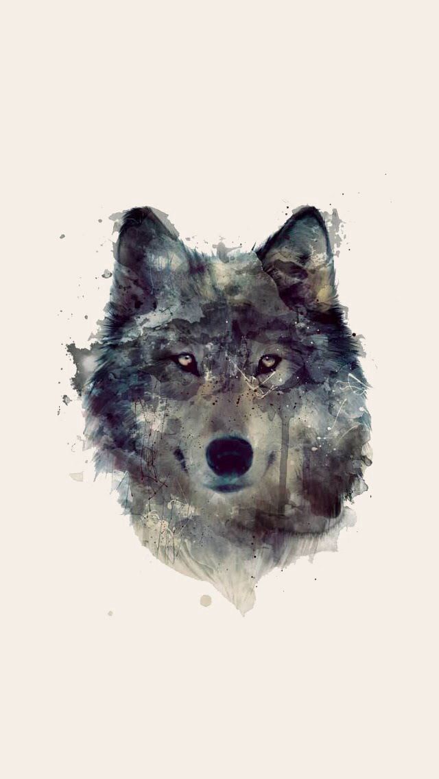 Wolf Wallpaper Wolves Watercolor Art Drawings