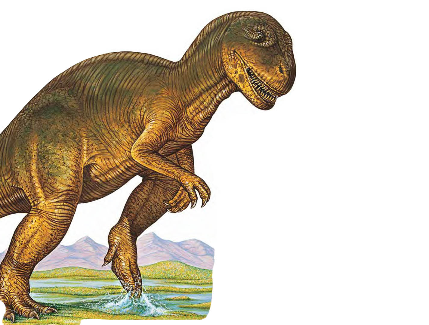 Allosaurus Carnivore Dinosaurs Wallpaper Image