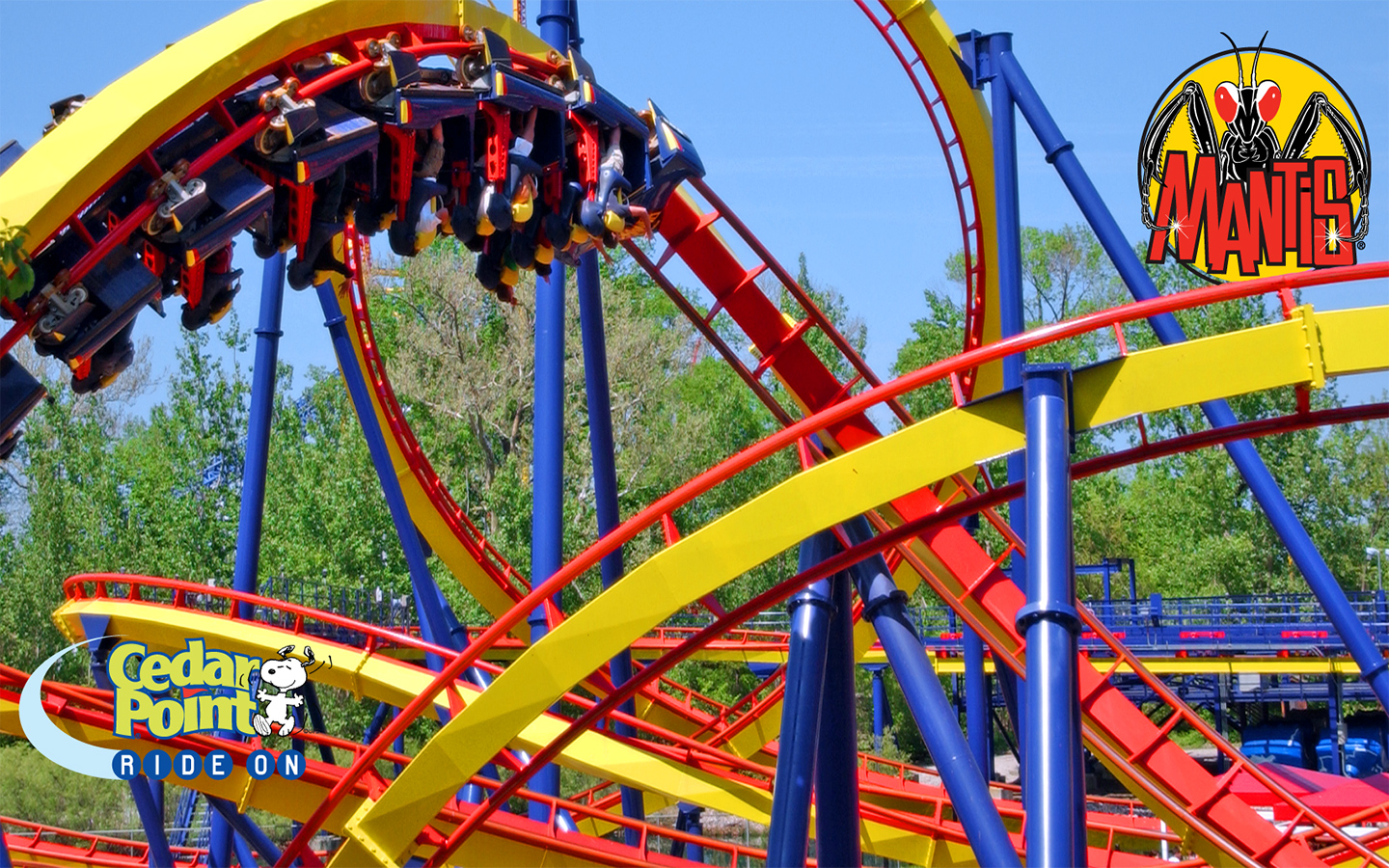 Free download Displaying 19 Images For Roller Coaster Carts For Sale