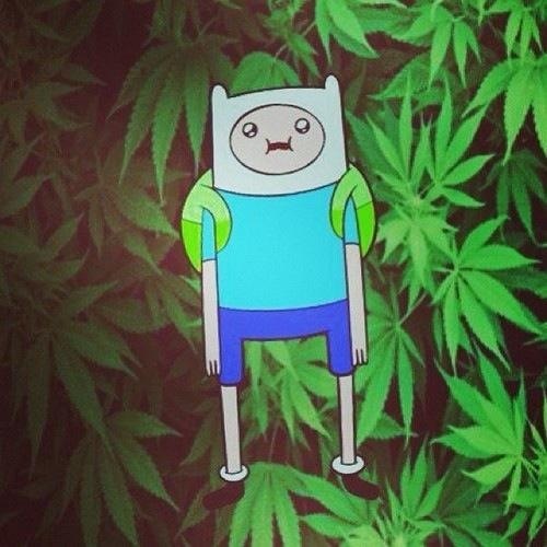 Possible Finn The Stoner Iwallpaper Wallpaper Pictures Picc It