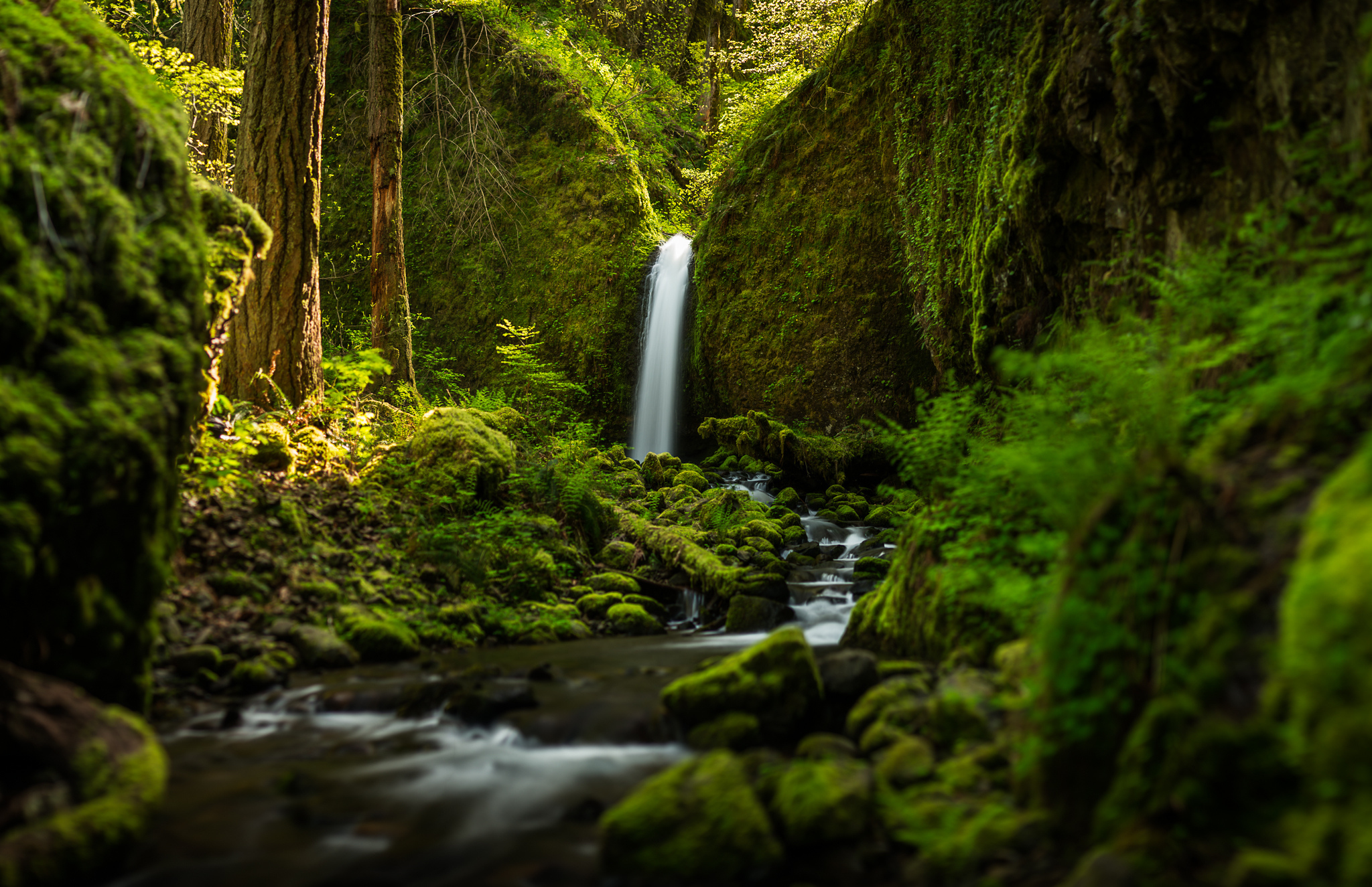 Oregon Waterfall Forest River Mood Wallpaper Background