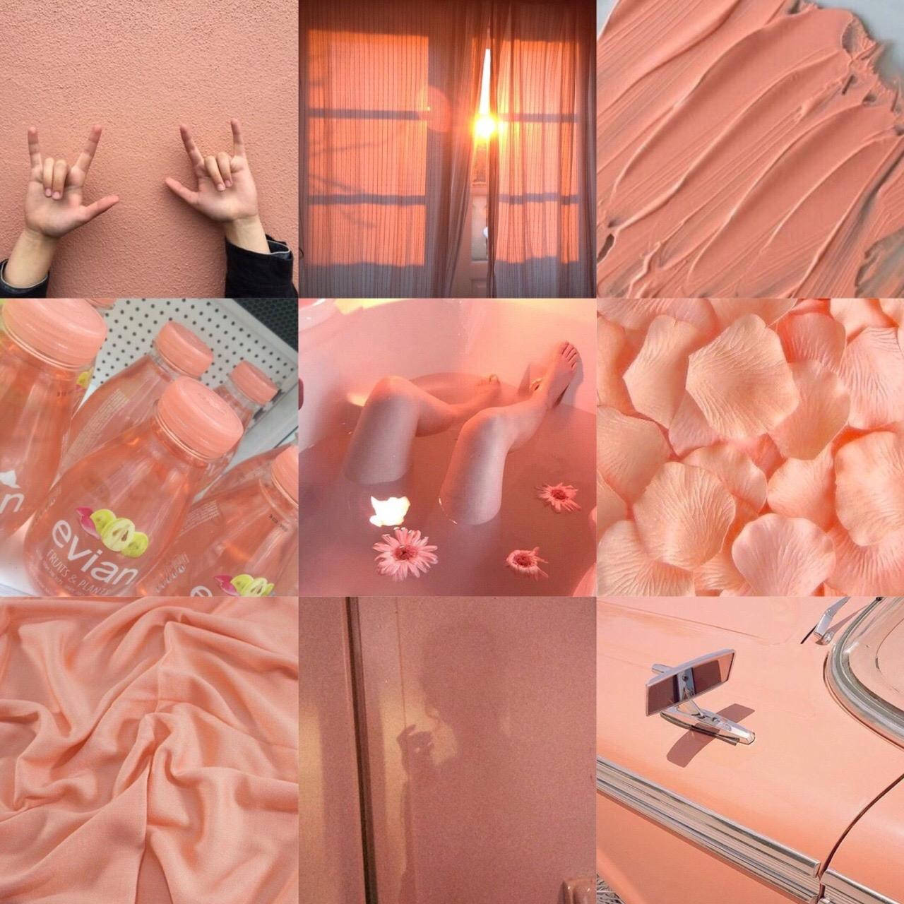 Peach Color Aesthetic Wallpaper