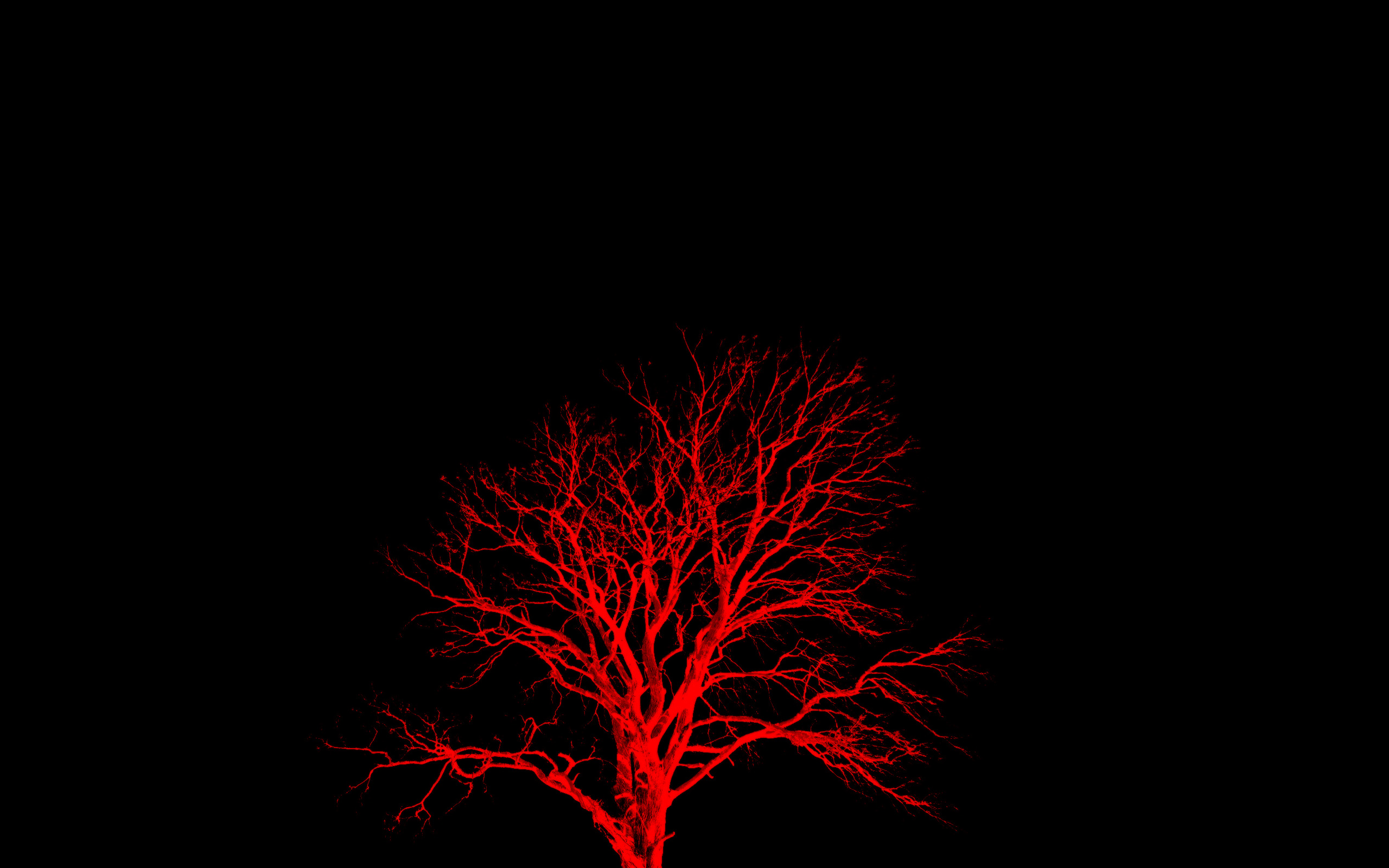 Wallpaper Red Tree And Black