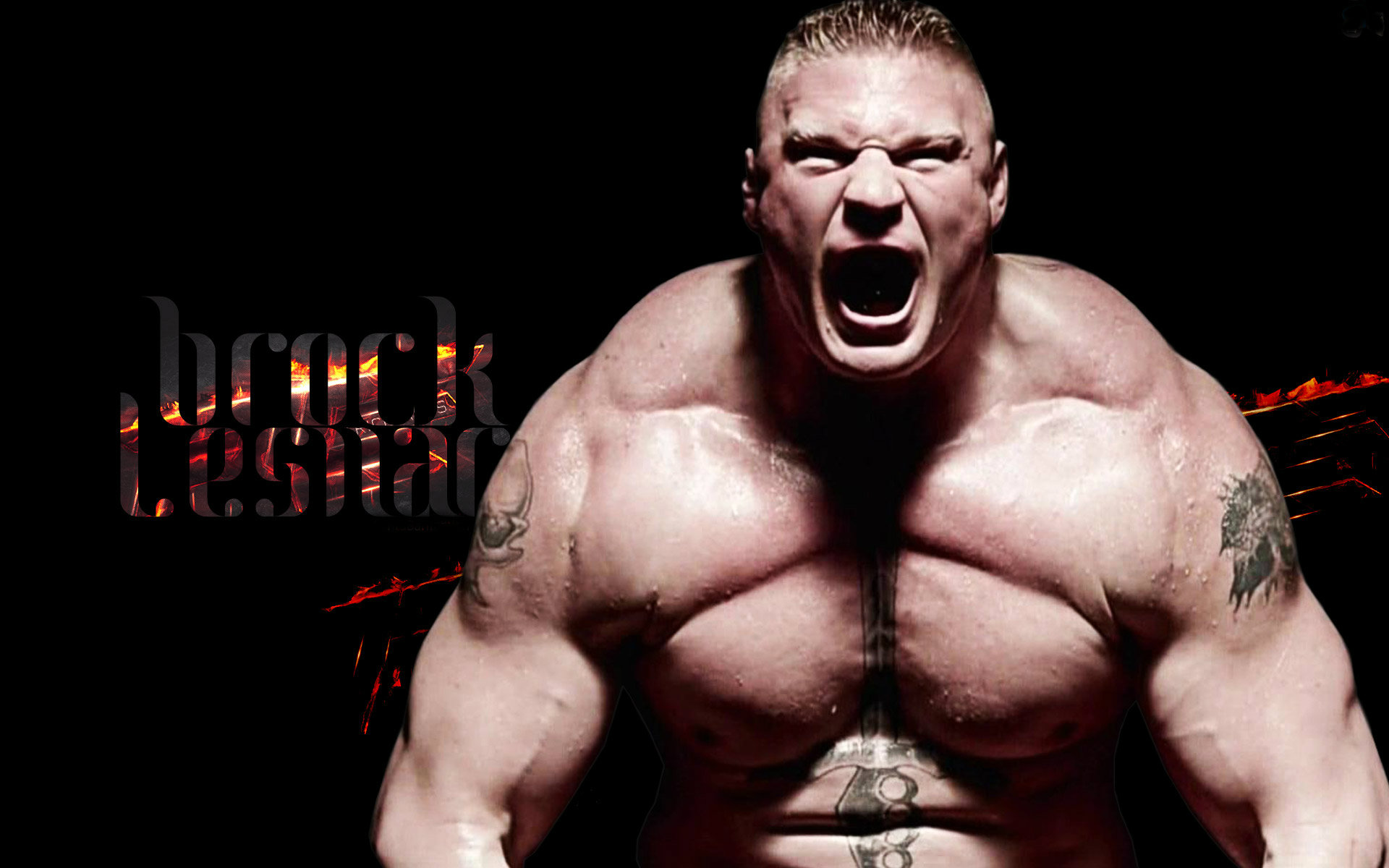 Brock Lesnar Pictures Image HD