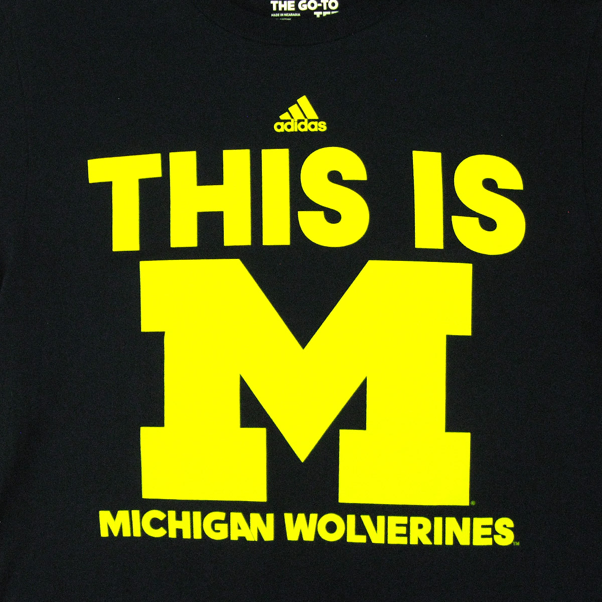 Michigan Wolverines For