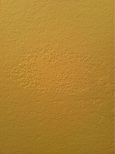 Free download Zinsser Gardz over skim coat over wallpaper adhesive