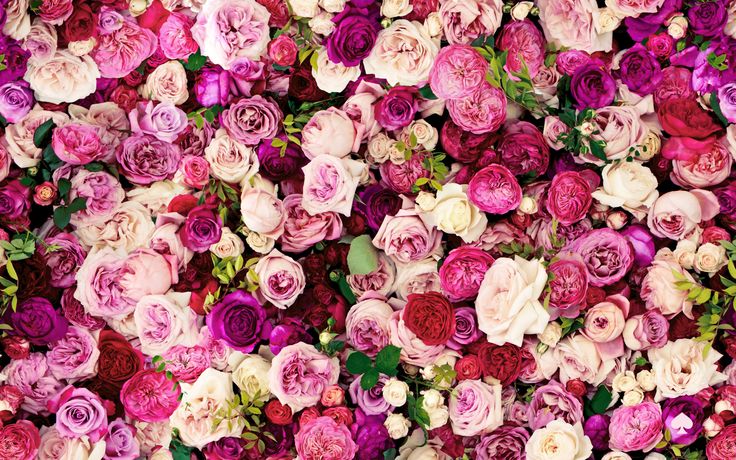 Kate Spade Desktop Wallpaper Floral Art Pinter